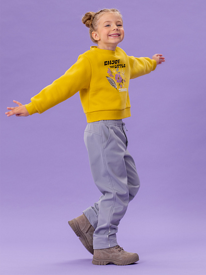 Брюки софтшелл артикул:OKGCP14-91-5